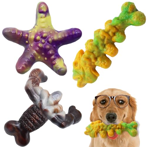 Kauspielzeug für Hunde für aggressive Kauer, 3 Stück, robustes Knochenspielzeug, um sie zu beschäftigen, unzerstörbares Haustierspielzeug für mittelgroße und große Rassen von Magicorange