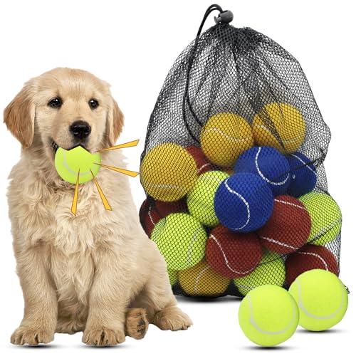 Magicorange Hunde-Tennisbälle, schwimmfähige, quietschende Tennisbälle zum Apportieren, Naturkautschuk, quietschende Hundebälle, 6,3 cm, 20 Stück (mehrfarbig, 6,3 cm) von Magicorange