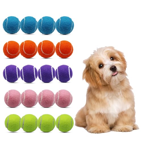 Magicorange Tennisbälle, 20 Stück, 5,1 cm, Tennisbälle für Hunde, bunt, leicht zu fangen, mit Netztasche für einfachen Transport (mehrfarbig, 5,1 cm) von Magicorange