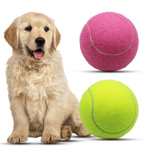 Magicorange Tennisball, Hundespielzeug, 2 Stück, 10,2 cm, Übergröße, riesiger Tennisball, Hunde-Tennisball, großes Haustier-Kauspielzeug für Outdoor- und Indoor-Sportarten (mehrfarbig, 2 Stück) von Magicorange