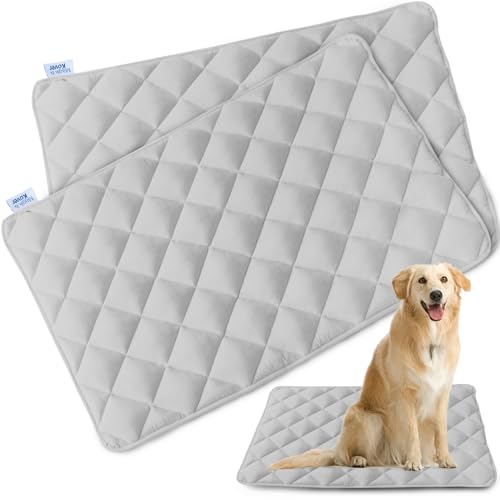 Magik & Kover Hundebox-Pad, weiche Hundebox-Matte mit rutschfester Unterseite, maschinenwaschbar, passend für 61 cm, Grau, 2 Stück Magik & Kover Hundebox-Pad, weiche Hundebox-Matte mit rutschfester Unterseite, maschinenwaschbar, passend für 61 cm, Grau, 2 Stück von Magik & Kover
