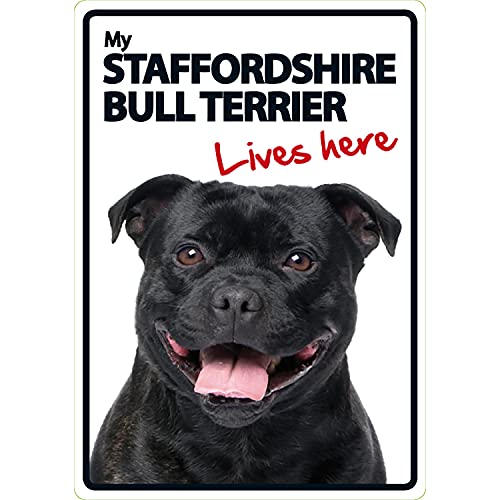 Magnet & Stahl Staffordshire Bull Terrier Lives Here Tierschild von Magnet & Steel