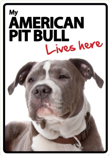 Magnet & Stahl Zeichen, American Pit Bull Lives Here von Magnet & Steel