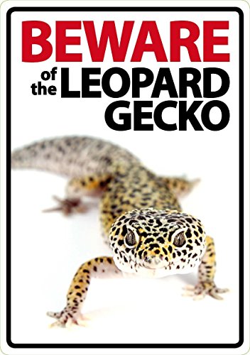 Magnet & Steel Schild mit Aufschrift Beware of The Leopard Gecko. von Magnet & Steel
