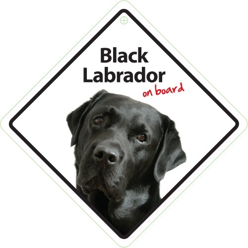 Magnet & Steel Schwarzer Labrador On Board Tierschild von Magnet & Steel