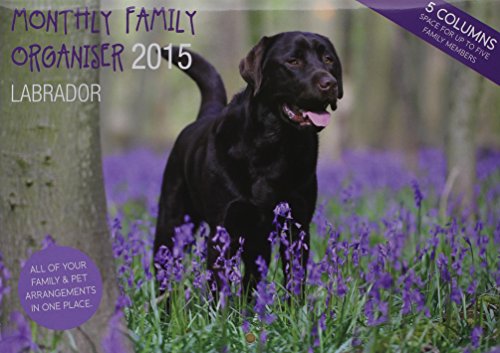 Magnet & Steel Wandkalender 2015 Labrador von Magnet & Steel