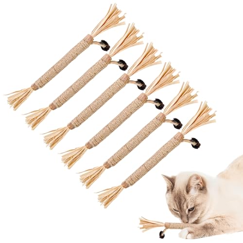 Magrimaxio 6 stück Matatabi Stick Katze, Katzenminze Sticks zum Schleifen von Zähnen, Katzensticks Katzenminzen Spielzeug für Katze zu Spielen, Katzen Sticks zur Katzen Zahnpflege und Gegen Mundgeruch Magrimaxio 6 stück Matatabi Stick Katze, Katzenminze Sticks zum Schleifen von Zähnen, Katzensticks Katzenminzen Spielzeug für Katze zu Spielen, Katzen Sticks zur Katzen Zahnpflege und Gegen Mundgeruch von Magrimaxio