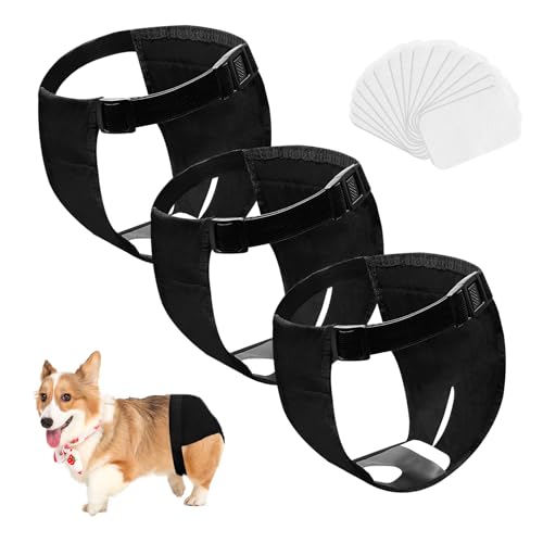 Magrimaxio Läufigkeitshose Für Hündinnen, 3 Pack Wiederverwendbare Hundewindeln mit 30 Hygienepad Waschbare für Hündinnen, Höschen für Hunde Hose Läufigkeit, Schutzhose Läufige Hündin, Schwarz (XL) Magrimaxio Läufigkeitshose Für Hündinnen, 3 Pack Wiederverwendbare Hundewindeln mit 30 Hygienepad Waschbare für Hündinnen, Höschen für Hunde Hose Läufigkeit, Schutzhose Läufige Hündin, Schwarz (XL) von Magrimaxio