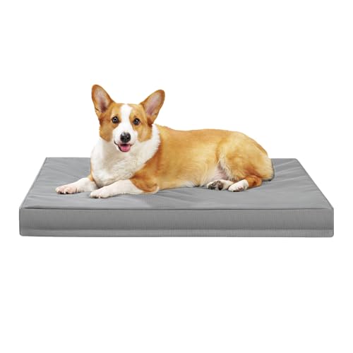Großes unzerstörbares Hundebett – strapazierfähiges, orthopädisches Schaumstoffbett mit 2520D Oxford-Gewebe, wasserdicht und rutschfest, für XL-Hunde, 104,1 cm L x 68,9 cm x 8,5 cm, Grau Großes unzerstörbares Hundebett – strapazierfähiges, orthopädisches Schaumstoffbett mit 2520D Oxford-Gewebe, wasserdicht und rutschfest, für XL-Hunde, 104,1 cm L x 68,9 cm x 8,5 cm, Grau von Maihandasi