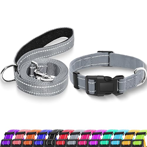 Maiiu Reflektierendes Hundehalsband mit Sicherheitsschnalle, verstellbar, weich, atmungsaktiv, Nylon, für kleine, mittelgroße und große Hunde (Halsband + Leine, Größe S, Breite 1,6 cm, Grau) von Maiiu