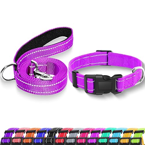 Maiiu Reflektierendes Hundehalsband mit Sicherheitsschnalle, verstellbar, weich, atmungsaktiv, Nylon, für kleine, mittelgroße und große Hunde (Halsband + Leine, Größe S, Breite 1,6 cm, rosert) von Maiiu