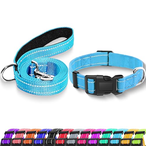 Maiiu Reflektierendes Hundehalsband mit Sicherheitsschnalle, verstellbar, weich, atmungsaktiv, Nylon, für kleine, mittelgroße und große Hunde (Halsband + Leine, XS, Breite 0,95 cm, Himmelblau) von Maiiu