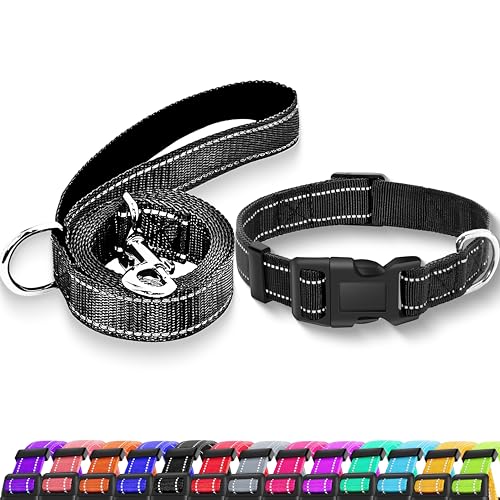 Maiiu Reflektierendes Hundehalsband mit Sicherheitsschnalle, verstellbar, weich, atmungsaktiv, Nylon, für kleine, mittelgroße und große Hunde (Halsband + Leine, XS, Breite 0,95 cm, Schwarz) von Maiiu