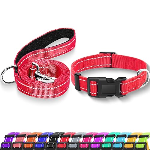 Maiiu Reflektierendes Hundehalsband mit Sicherheitsschnalle, verstellbares, weiches, atmungsaktives Nylon-Halsbänder für kleine, mittelgroße und große Hunde (Halsband + Leine, Größe S, Breite 1,9 cm, von Maiiu