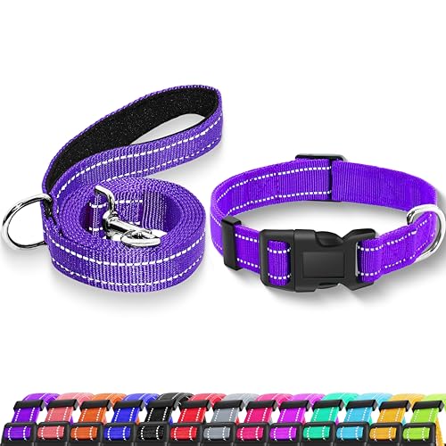 Maiiu Reflektierendes Hundehalsband mit Sicherheitsschnalle, verstellbares, weiches, atmungsaktives Nylon-Halsbänder für kleine, mittelgroße und große Hunde (Halsband + Leine, Größe S, Breite 1,6 cm, von Maiiu