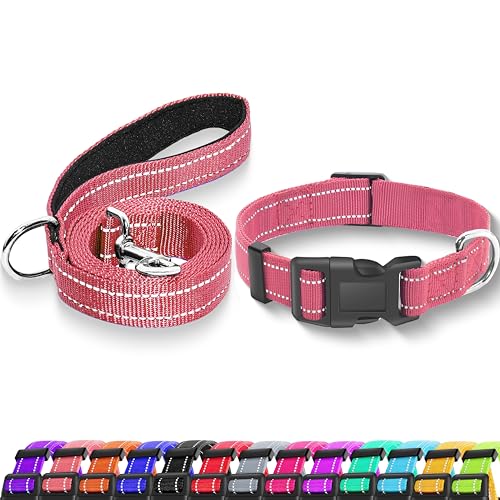 Maiiu Reflektierendes Hundehalsband mit Sicherheitsschnalle, verstellbares, weiches, atmungsaktives Nylon-Halsbänder für kleine, mittelgroße und große Hunde (Halsband + Leine, Größe S, Breite 1,6 cm, von Maiiu