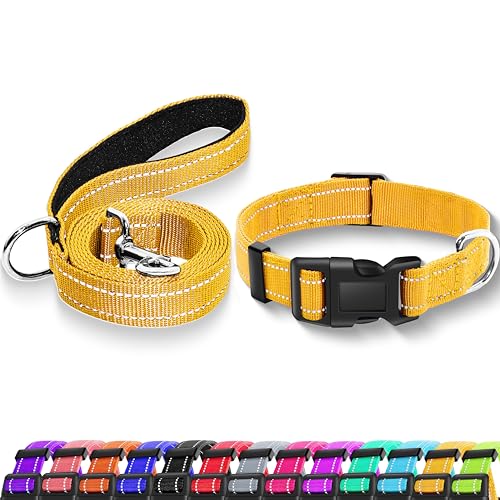 Maiiu Reflektierendes Hundehalsband mit Sicherheitsschnalle, verstellbares, weiches, atmungsaktives Nylon-Halsbänder für kleine, mittelgroße und große Hunde (Halsband + Leine, Größe S, Breite 1,6 cm, von Maiiu