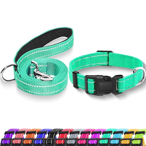 Maiiu Reflektierendes Hundehalsband mit Sicherheitsschnalle, verstellbares, weiches, atmungsaktives Nylon-Halsbänder für kleine, mittelgroße und große Hunde (Halsband + Leine, XS, Breite 1,6 cm, von Maiiu