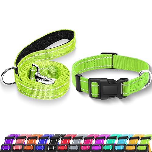 Maiiu Reflektierendes Hundehalsband mit Sicherheitsschnalle, verstellbares, weiches, atmungsaktives Nylon-Halsbänder für kleine, mittelgroße und große Hunde (Halsband + Leine, XS, Breite 1,6 cm, Grün) von Maiiu