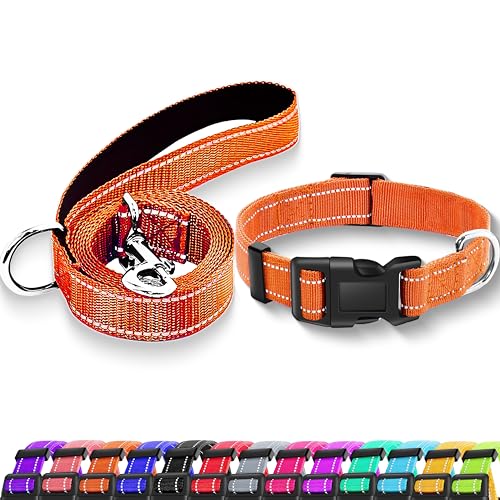 Maiiu Reflektierendes Hundehalsband mit Sicherheitsverschluss, verstellbar, weich, atmungsaktiv, Nylon-Hundehalsband für kleine, mittelgroße und große Hunde (Halsband + Leine, Größe M, Orange) von Maiiu