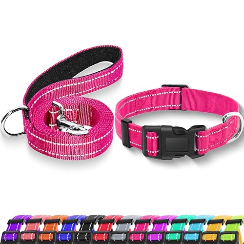 Maiiu Reflektierendes Hundehalsband mit Sicherheitsverschlussschnalle, verstellbar, weich, atmungsaktiv, Nylon-Halsbänder für kleine, mittelgroße und große Hunde (Halsband + Leine), Pink von Maiiu