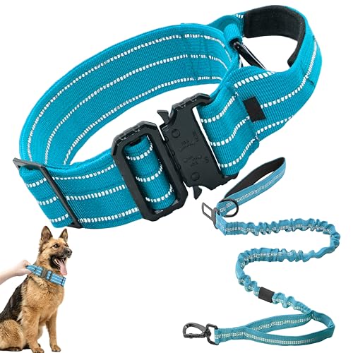 Maiiu Taktisches Hundehalsband und Leine, verstellbar, militärisches Training, reflektierendes Nylon-Hundehalsband mit Kontrollgriff, robuste Metallschnalle für mittelgroße und große Hunde (Größe L, Maiiu Taktisches Hundehalsband und Leine, verstellbar, militärisches Training, reflektierendes Nylon-Hundehalsband mit Kontrollgriff, robuste Metallschnalle für mittelgroße und große Hunde (Größe L, von Maiiu