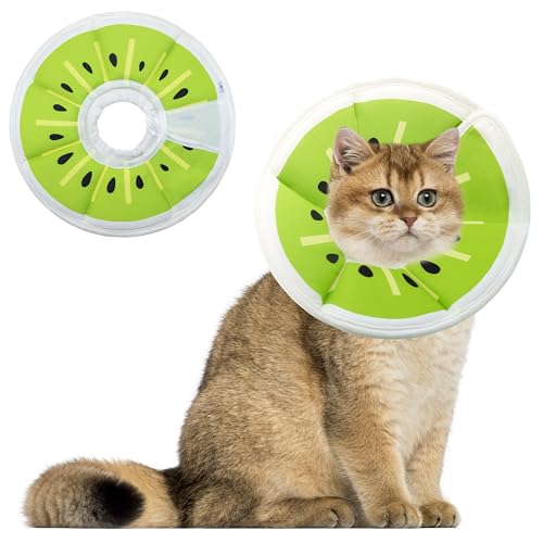 Maiiu Weiches, verstellbares Katzenkegelhalsband, bequemes Katzenhalsband, geeignet für verschiedene Arten von Katzen, elisabethanisches Hals-Schutzhalsband für Katzen nach Operationen (Kiwi, Medium) Maiiu Weiches, verstellbares Katzenkegelhalsband, bequemes Katzenhalsband, geeignet für verschiedene Arten von Katzen, elisabethanisches Hals-Schutzhalsband für Katzen nach Operationen (Kiwi, Medium) von Maiiu