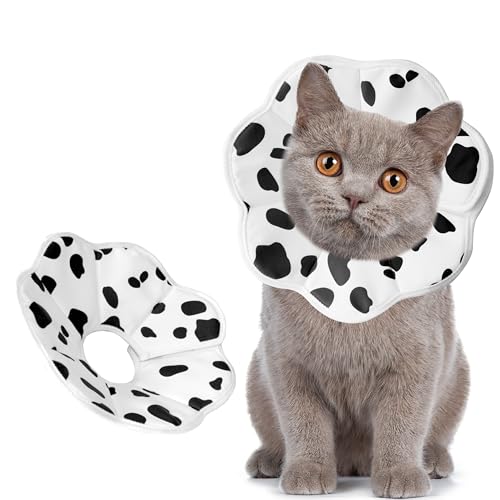Maiiu Weiches, verstellbares Katzenkegelhalsband, bequemes Katzenhalsband, geeignet für verschiedene Arten von Katzen, elisabethanisches Hals-Schutzhalsband für Katzen nach Operationen (Milch, X-Small von Maiiu