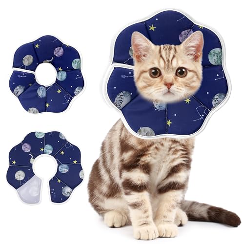 Maiiu Weiches, verstellbares Katzenkegelhalsband, bequemes Katzenhalsband, geeignet für verschiedene Arten von Katzen, elisabethanisches Hals-Schutzhalsband für Katzen nach Operationen (blau, groß) Maiiu Weiches, verstellbares Katzenkegelhalsband, bequemes Katzenhalsband, geeignet für verschiedene Arten von Katzen, elisabethanisches Hals-Schutzhalsband für Katzen nach Operationen (blau, groß) von Maiiu