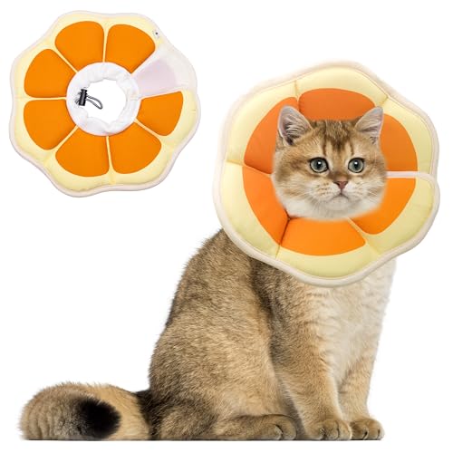 Maiiu Weiches, verstellbares Katzenkegelhalsband, bequemes Katzenhalsband, geeignet für verschiedene Arten von Katzen, elisabethanisches Nackenschutzhalsband für Katzen nach Operationen (Orange, M) von Maiiu
