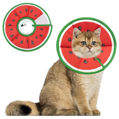 Maiiu Weiches, verstellbares Katzenkegelhalsband, bequemes Katzenhalsband, geeignet für verschiedene Arten von Katzen, elisabethanisches Nackenschutzhalsband für Katzen nach Operationen (Wassermelone, Maiiu Weiches, verstellbares Katzenkegelhalsband, bequemes Katzenhalsband, geeignet für verschiedene Arten von Katzen, elisabethanisches Nackenschutzhalsband für Katzen nach Operationen (Wassermelone, von Maiiu