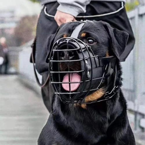 [Maitawa] Hundemaulkorb aus Edelstahl & Leder – Atmungsaktiver, Verstellbarer Maulkorb für kleine & große Hunde (2 Größen) | Maulkorb für Hunde, Hundemaulkorb (15 * 15 * 9cm) von Maitawa