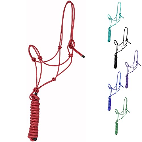 Majestic Ally 1/4 Zoll Seil 4 Knoten steife Polyester Trainingshalfter mit 3 m passendem Führseil für Pferde – voll (rot, voll) von Majestic Ally