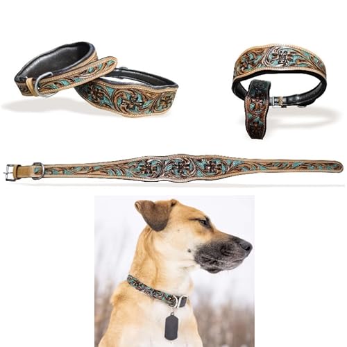 Majestic Ally Hundehalsband aus echtem Leder mit verstellbarer, gepolsterter Passform zum Gehen, Wandern und Laufen, Designer-Westernkleidung für Welpen, Antik - Natur-Türkis, Größe XS von Majestic Ally