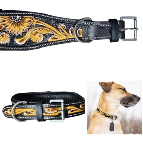 Majestic Ally Hundehalsband aus echtem Leder mit verstellbarer, gepolsterter Passform zum Gehen, Wandern und Laufen, Designer-Westernkleidung für Welpen, ausgefallene individuelle Farben Majestic Ally Hundehalsband aus echtem Leder mit verstellbarer, gepolsterter Passform zum Gehen, Wandern und Laufen, Designer-Westernkleidung für Welpen, ausgefallene individuelle Farben von Majestic Ally
