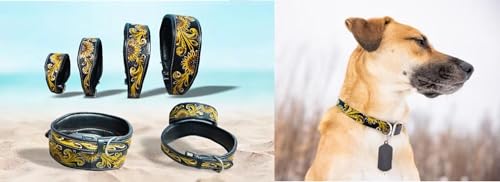 Majestic Ally Hundehalsband aus echtem Leder mit verstellbarer, gepolsterter Passform zum Gehen, Wandern und Laufen, Designer-Westernkleidung für Welpen, ausgefallene individuelle Farben von Majestic Ally