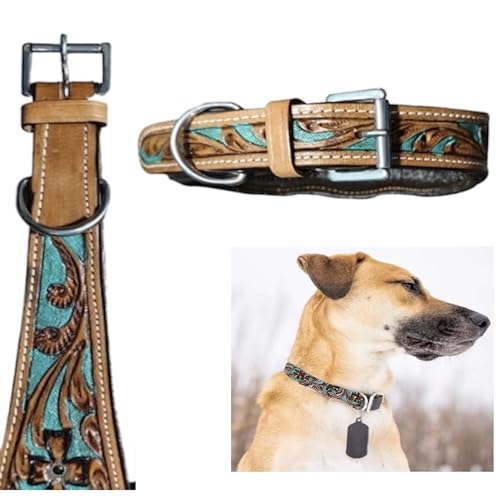 Majestic Ally Hundehalsband aus Leder mit verstellbarer, gepolsterter Passform zum Gehen, Wandern und Laufen, Designer-Westernkleidung für Welpen, ausgefallene Farben (Türkis, Natur, klein) Majestic Ally Hundehalsband aus Leder mit verstellbarer, gepolsterter Passform zum Gehen, Wandern und Laufen, Designer-Westernkleidung für Welpen, ausgefallene Farben (Türkis, Natur, klein) von Majestic Ally