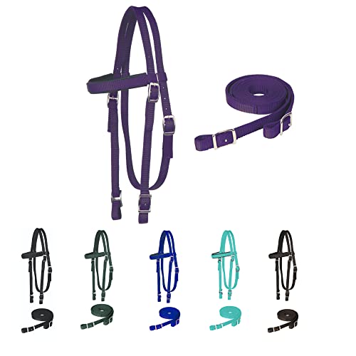 Majestic Ally Pferdehalfter mit Zügeln, gepolstertes Stirnband, Nylon, mehrere Farben (Lila, Zugluft) von Majestic Ally