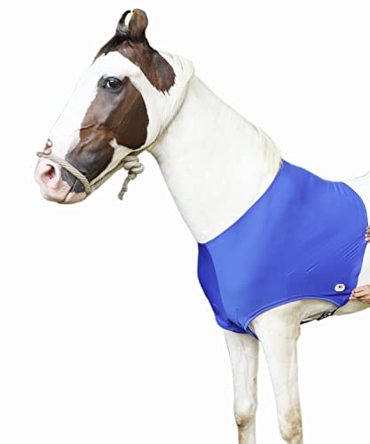 Majestic Ally Schulterschutz für Pferde, Lycra, elastisch, Größe L, Königsblau von Majestic Ally