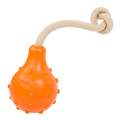 MAJORDOG Schwimmspielzeug Eddy, 20,3 cm, Orange MAJORDOG Schwimmspielzeug Eddy, 20,3 cm, Orange von Major Dog
