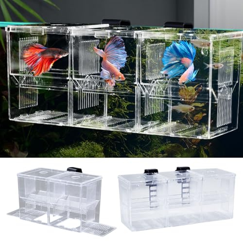 Makamsui Aquarium Fisch Zuchtbox, Acryl Transparent Multi-Grid Design Fisch Isolation Box Hatchery-Inkubator für Neugeborene Fry Shrimp Clownfish Aggressive Fische Verletzte Transparent L Makamsui Aquarium Fisch Zuchtbox, Acryl Transparent Multi-Grid Design Fisch Isolation Box Hatchery-Inkubator für Neugeborene Fry Shrimp Clownfish Aggressive Fische Verletzte Transparent L von Makamsui