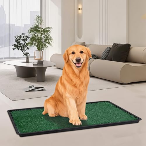 Makamsui Kunstrasen-Pad für Hunde, Töpfchen mit Tablett, Welpen-Pad für Hunde und kleine Haustiere, Hundetoilette, Ersatz für künstliche Grasen, 1 Urinierpad, 1 Bodenwanne, Bla Makamsui Kunstrasen-Pad für Hunde, Töpfchen mit Tablett, Welpen-Pad für Hunde und kleine Haustiere, Hundetoilette, Ersatz für künstliche Grasen, 1 Urinierpad, 1 Bodenwanne, Bla von Makamsui