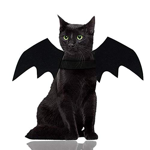 Malier Halloween-Katzenkostüm für Katzen, Hunde, Fledermausflügel, Katzen- und Hunde-Fledermaus-Kostüm, Flügel Malier Halloween-Katzenkostüm für Katzen, Hunde, Fledermausflügel, Katzen- und Hunde-Fledermaus-Kostüm, Flügel von Malier