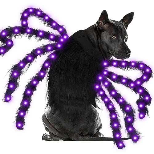 Malier Hundekostüm Spinne mit Licht, Größe L, Schwarz von Malier