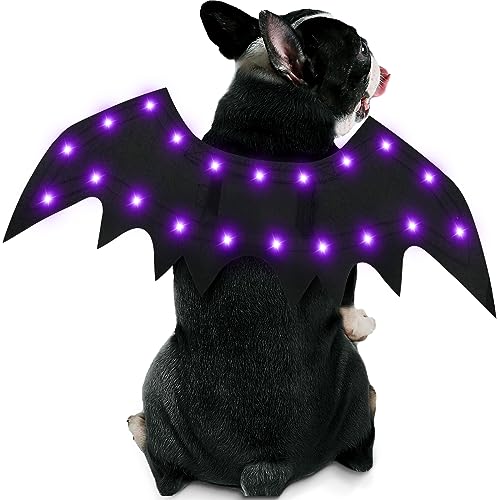 Malier Leuchtende Hunde-Halloween-Kostüm, 20 LED-Hunde-Fledermausflügel, Halloween-Cosplay-Kostüm mit violetten Lichtern, lustige Halloween-Kleidung, Thanksgiving-Geschenke für Hunde, Welpen, Katzen Malier Leuchtende Hunde-Halloween-Kostüm, 20 LED-Hunde-Fledermausflügel, Halloween-Cosplay-Kostüm mit violetten Lichtern, lustige Halloween-Kleidung, Thanksgiving-Geschenke für Hunde, Welpen, Katzen von Malier