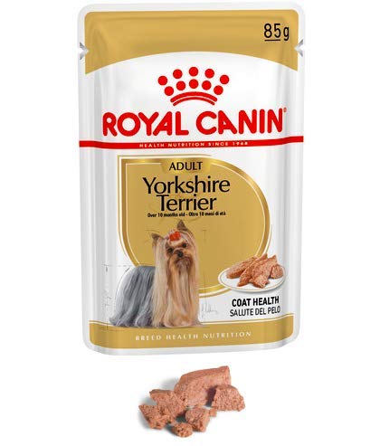 Maltbys' Stores 1904 Limited 12 x 85 g (Nassbeutel) Royal Canin Yorkshire Terrier für ausgewachsene Rasse Gesundheit Nutrition Hundefutter von Maltbys' Stores 1904 Limited