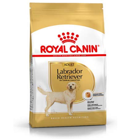 Maltbys' Stores 1904 Limited Hundefutter Royal Canin Labrador Retriever für Erwachsene, 12 kg von Maltbys' Stores 1904 Limited