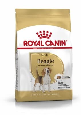 Royal Canin Beagle Trockenfutter für erwachsene Hunde, 12 kg von Maltbys' Stores 1904 Limited