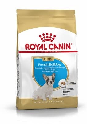 Royal Canin Trockenfutter für Welpen, französische Bulldogge, 10 kg von Maltbys' Stores 1904 Limited