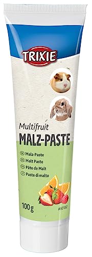TRIXIE TX-60182 Malt Paste multifruit 100 g von TRIXIE